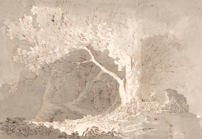 Trädstudie av John Baverstock Knight