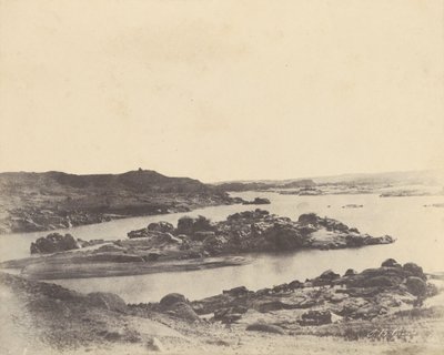 Elefantine. Första grå starr av John Beasly Greene