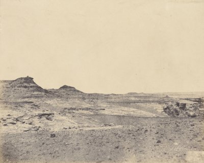 Fältstudie nära Gebel Abousir, andra grå starr av John Beasly Greene