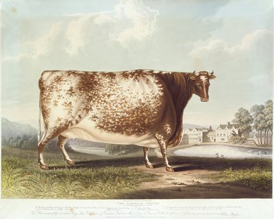 Airedale-kvinna, graverad av R. Reeve, 1820 (färggravyr) av John Bradley