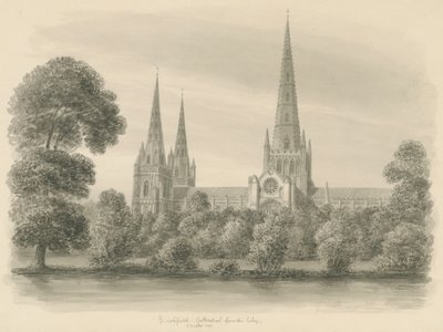 Lichfield Cathedral - South View: sepiateckning av John Buckler