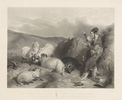 Lassie vallar får. av John Burnet