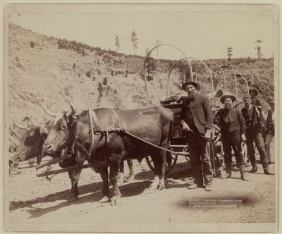  av John C. H. Grabill