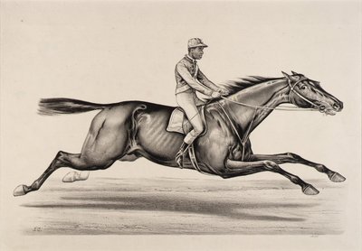 Kejsaren av Norfolk av John Cameron