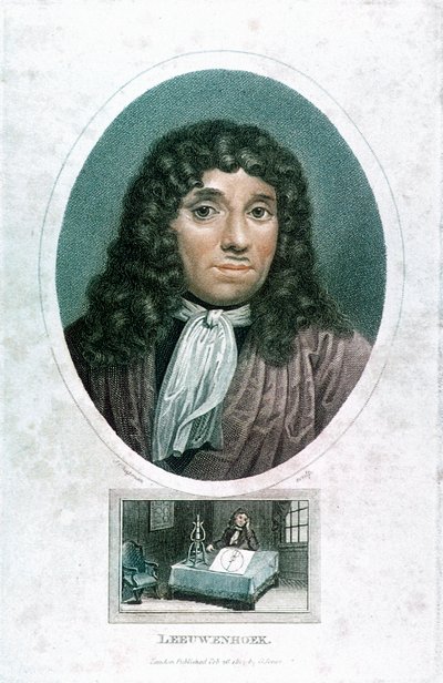 Anton van Leeuwenhoek 1632-1723, holländsk mikroskopist, c1810 av John Chapman