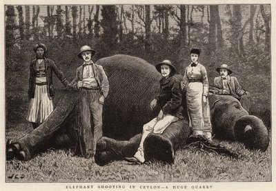 Elefantskjutning i Ceylon, ett enormt stenbrott av John Charles Dollman