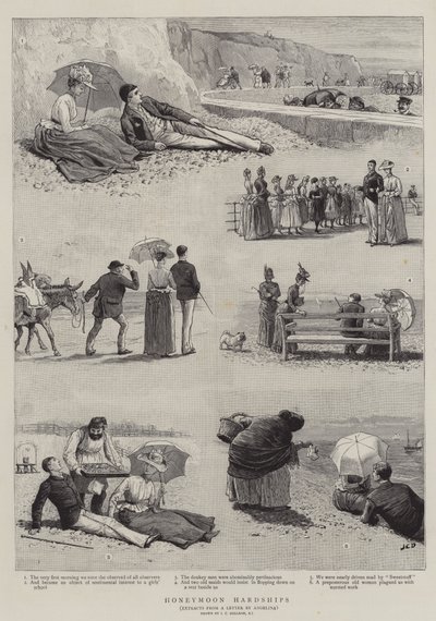 Smekmånads svårigheter av John Charles Dollman