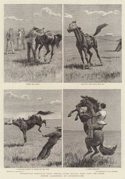 Horse Ranching i Queensland av John Charles Dollman