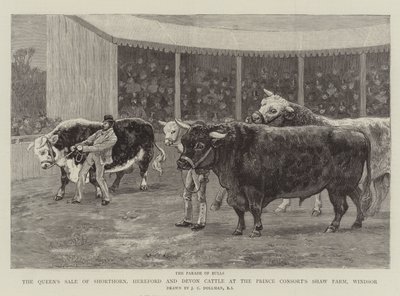 Drottningens försäljning av Shorthorn, Hereford och Devon Cattle på Prince Consort