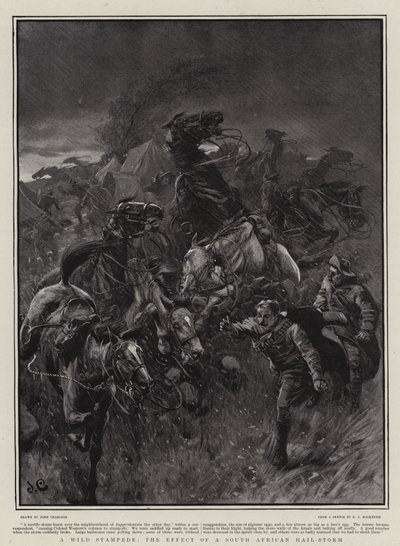 En vild stämpel, effekten av en sydafrikansk hagelstorm av John Charlton