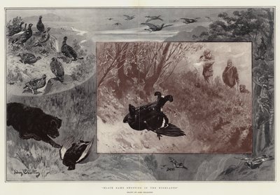 Black Game Shooting in the Highlands av John Charlton