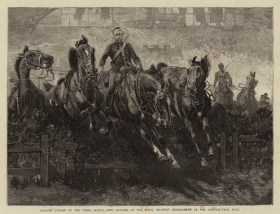 Kavalleriuppvisning av tredje (King