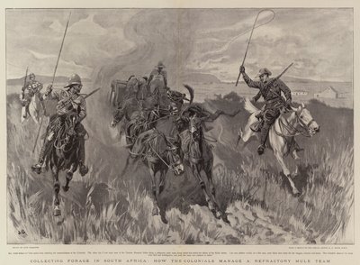 Samla foder i Sydafrika, hur kolonialerna hanterar ett eldfast mulelag av John Charlton