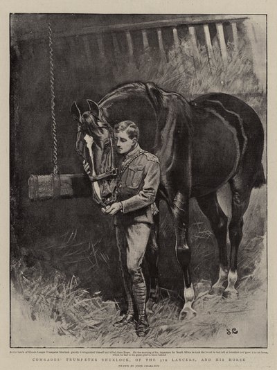 Kamrater, Trumpeter Shurlock, från 5th Lancers, och hans häst. av John Charlton