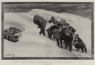 Mat för de hungriga, sköta snöbundna får på kullarna i Northumberland av John Charlton