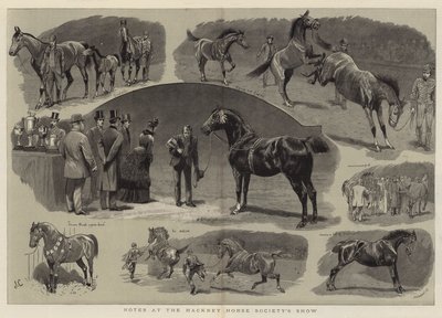 Anteckningar på Hackney Horse Society Show av John Charlton