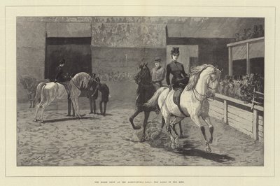 Hästshowen på Lantbrukshallen, araberna i ringen av John Charlton