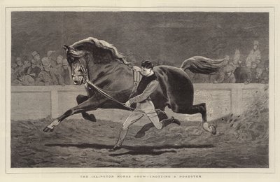 Islington Horse Show, med en Roadster i trav. av John Charlton
