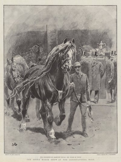 Shire Horse Show på Lantbrukshallen av John Charlton