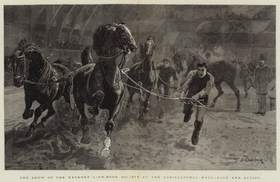 The Show of the Hackney Stud-Book Society på Agricultural Hall, Pace and Action av John Charlton