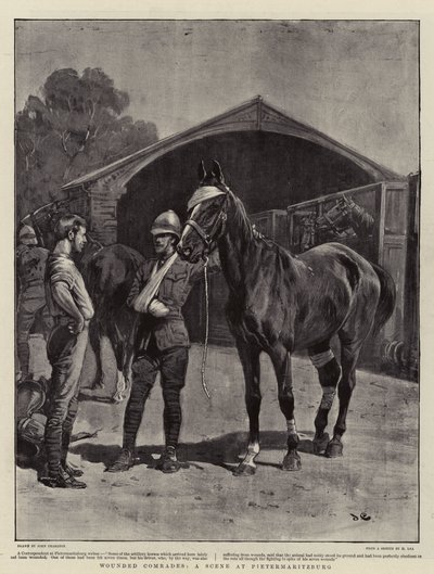 Sårade kamrater, en scen i Pietermaritzburg av John Charlton