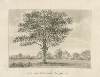 Boscobel - The Royal Oak: sepiateckning, 1820 av John Chessell Buckler