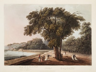 St Cloud, The Great Walk of St Cloud, The Bridge of Sevres, etc. etc., illustration från Versailles, Paris och Saint Denis, pub. 1805 (akvatint) av John Claude Nattes