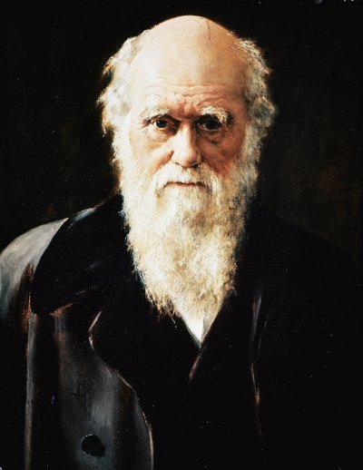 Porträtt av den engelske naturforskaren Charles Darwin, detalj (olja på duk av John Collier