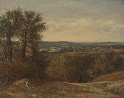 Dadham Wale av John Constable