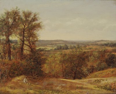 Dadham Wale, 1802. av John Constable