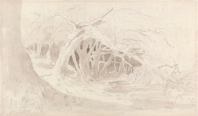 Helmingham: The Silent Pool av John Constable