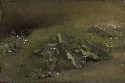 Studie av en kardborre, c.1810-14 eller c.1828 av John Constable