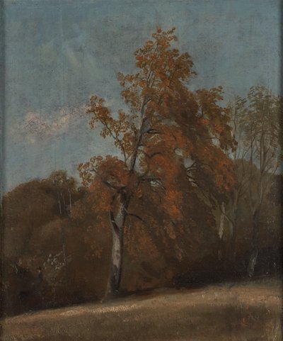 Studie av en ask av John Constable
