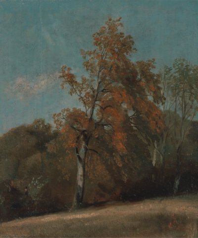 Studie av ett askträd, mellan 1801 och 1803 eller mellan 1810 och 1830. av John Constable