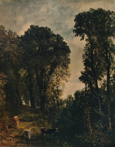 Träd nära Hampstead Church, 1829, c1915 av John Constable