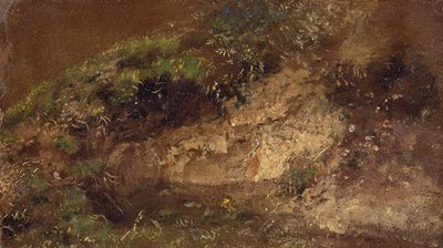 Undervegetation, ca 1821 (olja på papper på kartong) av John Constable
