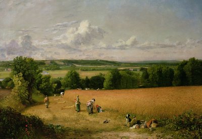 Vete fält av John Constable