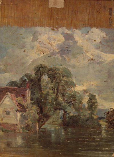 Willy Lott