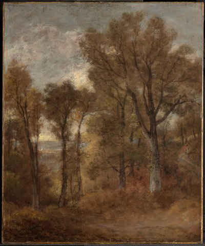 Skogslandskap med utsikt över Dedham Vale av John Constable