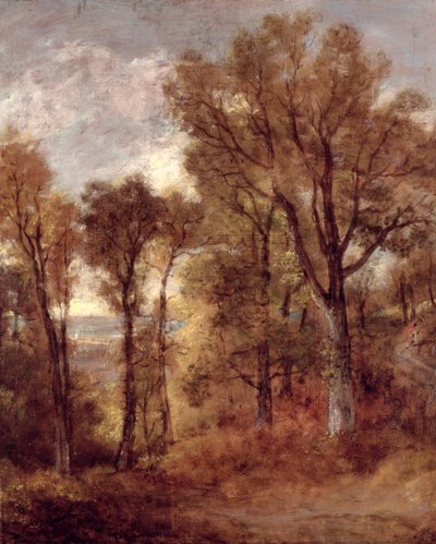 Woodland View in Suffolk (olja på duk) av John Constable