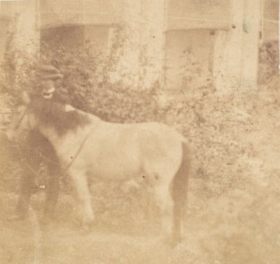[Man och häst, regeringshuset, Allahabad], 1858. av John Constantine Stanley