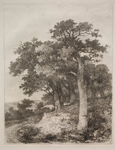 På Colney. av John Crome