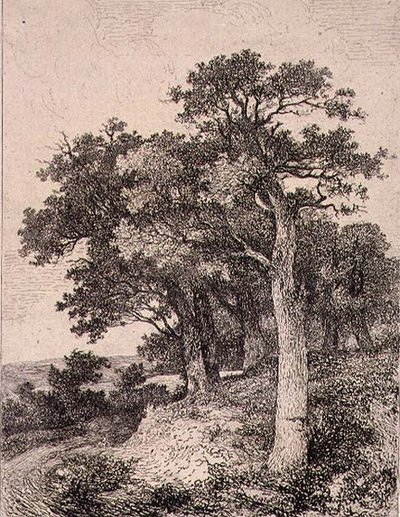 På Colney, pub. av J. & W. Freeman av John Crome