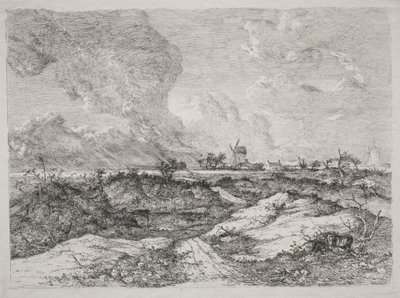 Mousehold Heath av John Crome