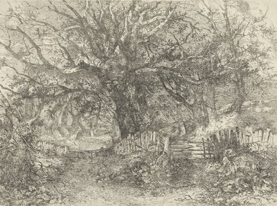Road Scene, Trowse Hall, 1813 av John Crome