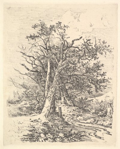 Trädstammar och lane, 1811-13. av John Crome