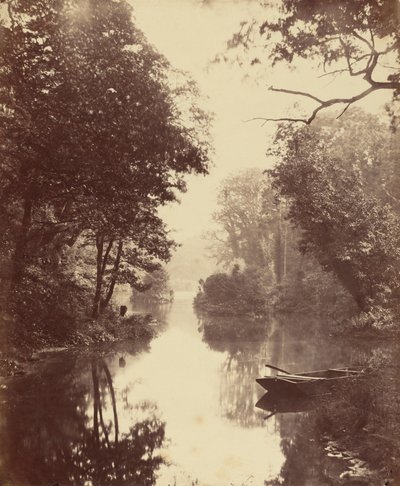 En sommarkväll, Penllergare,25 augusti av John Dillwyn Llewelyn