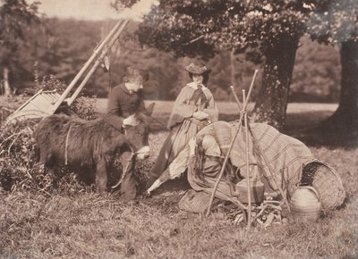 Plåster, 1853-56. av John Dillwyn Llewelyn