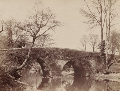 The Country Bridge Staplylton Bridge, Bristol, ca. 1854-1857. av John Dillwyn Llewelyn
