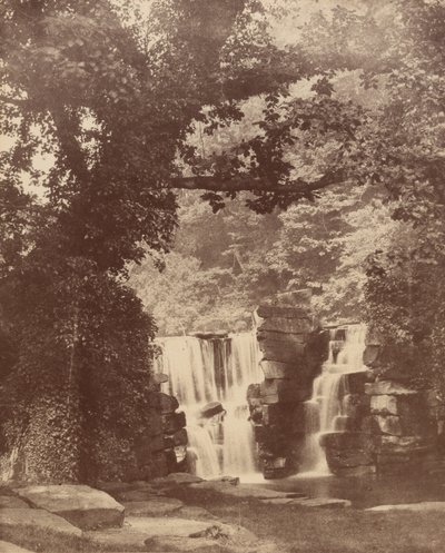 De övre fallen, Penllergare Valley Woods,ca. 1852 (foto) av John Dillwyn Llewelyn